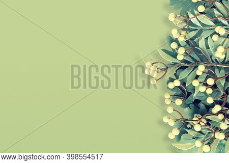 Autumn Oak And Rowan Branches With Red Berries On Green Background.
Flat Lay, Top View, Copy Space C