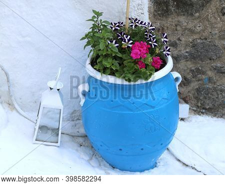 Blue And White Flower Pot With Flowers In Kos,greece