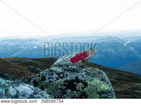 A Rock With A Bright Red Marking Indicating A Path Through The Mountains. Placed By The Norwegian To