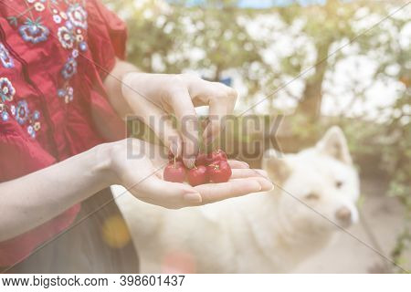 Girl Holding 