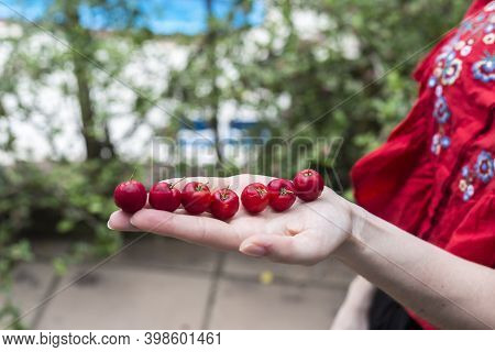 Girl Holding 