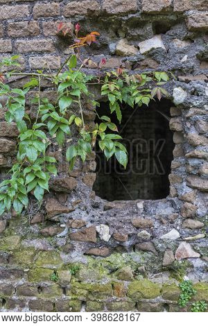 Vintage Ruins In Old Garden, Lazio, Italy.