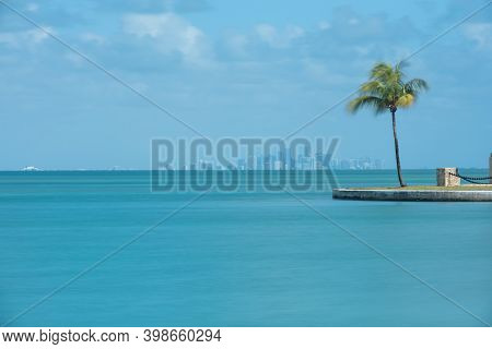 Long Exposure Of Waving Palm And Miami Skyline From Boca Chita Key In Biscayne National Park