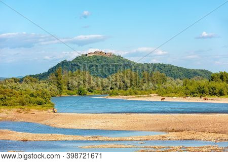 Mountain River On A Sunny Day. Nature Landscape. Ruins Of Khust Castle On The Mount. Tisza River, Kh