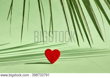 Red Felted Heart On Pastel Light Green Background With A Shadows Of Palm Leaf. Valentines Day. Roman