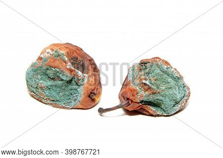 Two Rotten And Uneatable Pears. Isolated On A White Background.