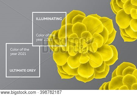 Colors Yeallow And Gray. Color 2021 Illuminating And Ultimate Gray.