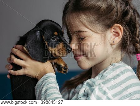Little Girl Holding A Dachshund Puppy In Her Arms, Love Of Children And Animals Concept.