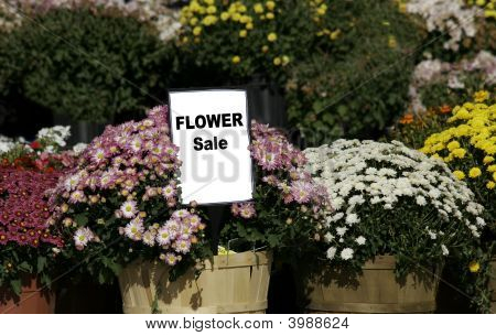 Flower Market
