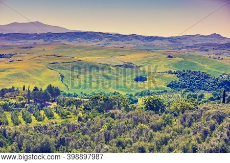 Beautiful Landscape, Spring Nature. View From Above Of Sunny Fields And Olive Plantations On Rolling