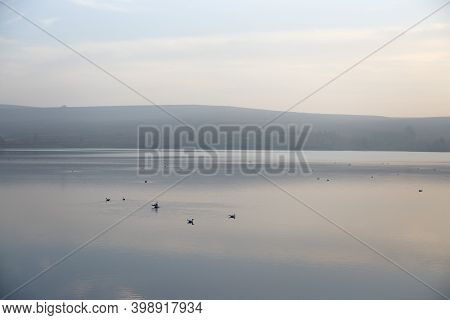 Haze Gives This Water Landscape At Dusk A Good Background Texture. Many Birds Settle Down On The Wat