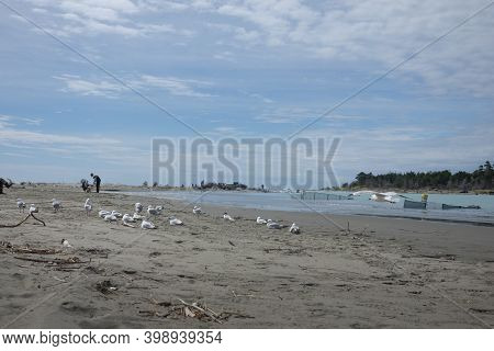 Christchurch New Zealand - November 20 2020; Fishing And Whitebaiting At Waimakariri River Mouth.