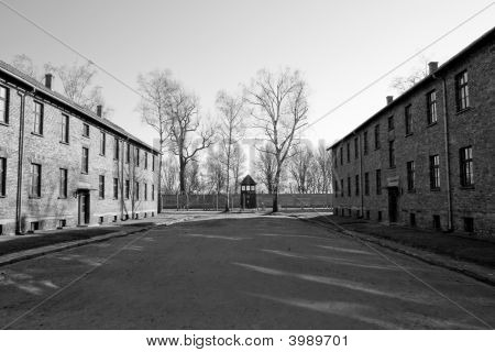Concentration Camp In Poland