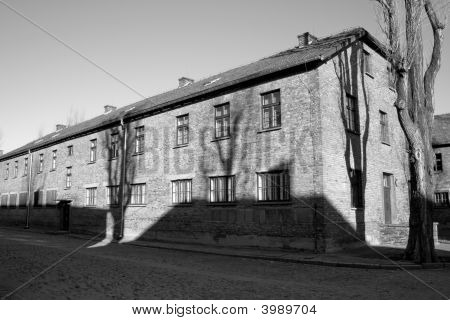 Concentration Camp In Poland