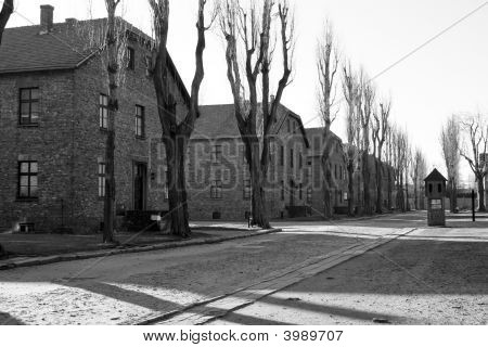 Concentration Camp In Poland
