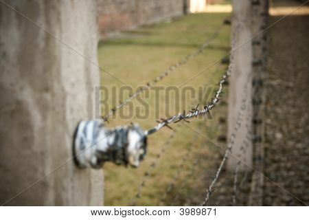 Concentration Camp In Poland