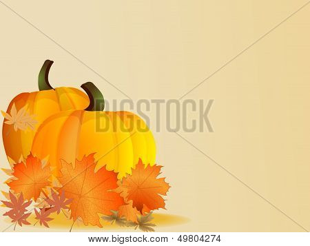 Pumpkins with leaves. Autumn background. Vector.
