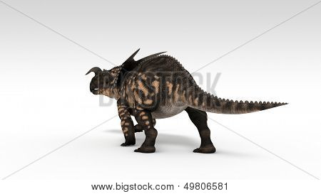 einiosaurus isolated