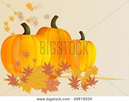 Pumpkins with leaves. Autumn background. Vector.