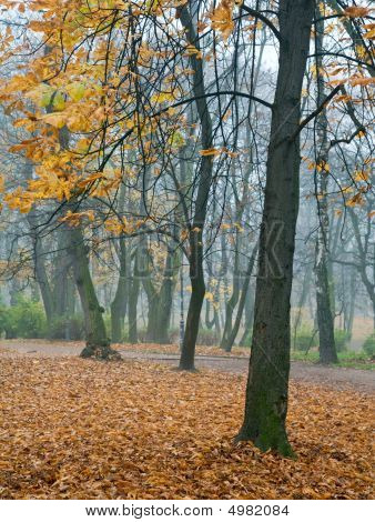 Jesienny Park