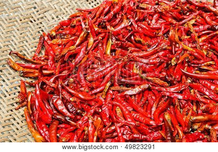 Red Chili peppers on basket