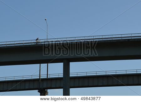 Cyclist On The Bridge