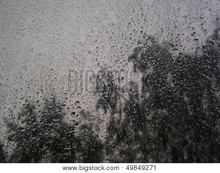 the rain outside