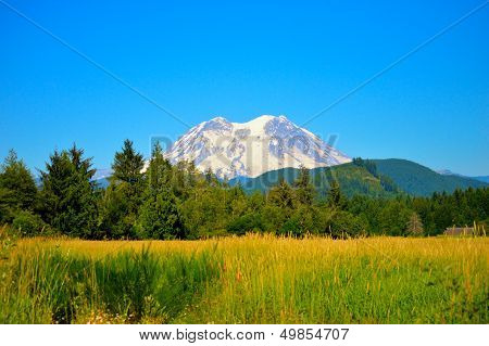 Mt. Rainier