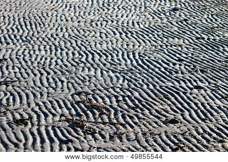 Sand Ripples