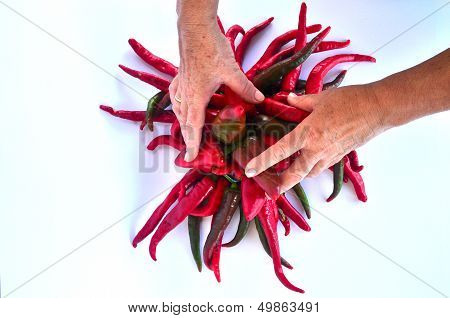 Mains tenant des piments