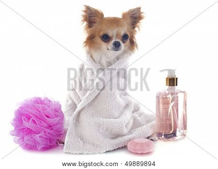 After The Bath