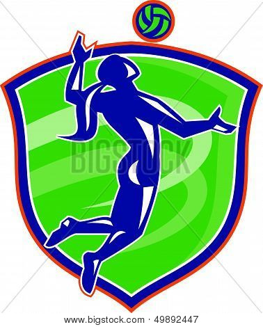 Volleyball Player Spiking Ball Side Shield