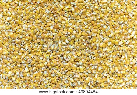 Corn