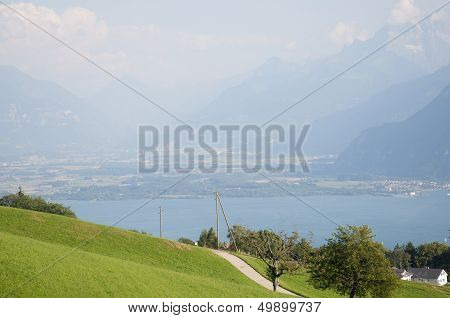 A Path in the Meadow