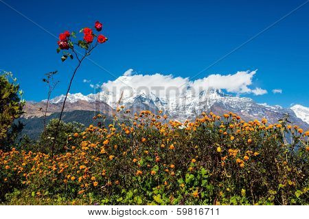 The Annapurna South and the Hiunchuli in Nepal