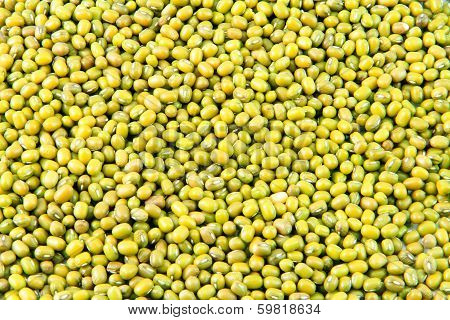 Green Beans