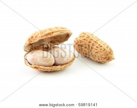 Peanut