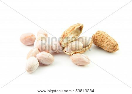 Peanut