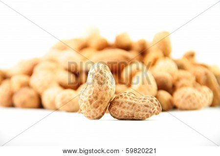 Peanut