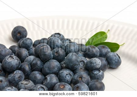 Blueberry