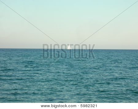 海