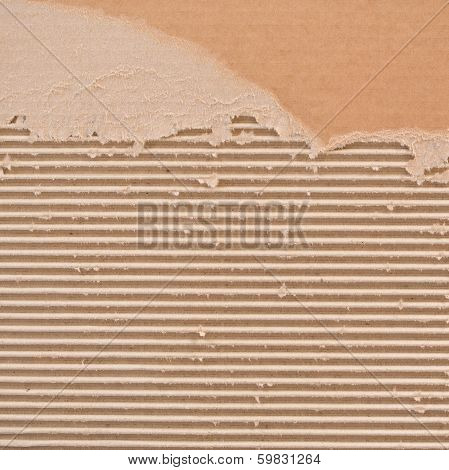 Torn corrugated cardboard.