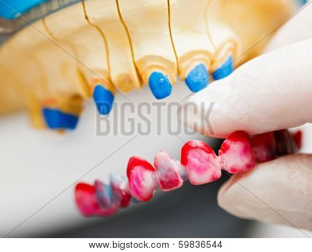 Dental Technician Working