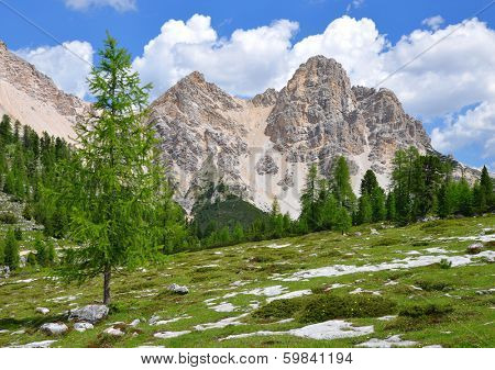 Fanes Park, Dolomites - Italy