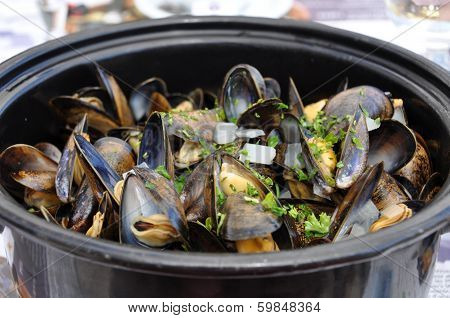 Cooked Mussels