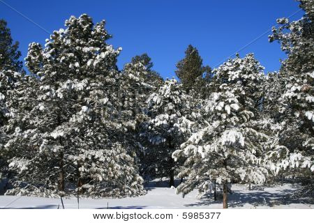 Cielo azul montaña rocosa nieve-Scape
