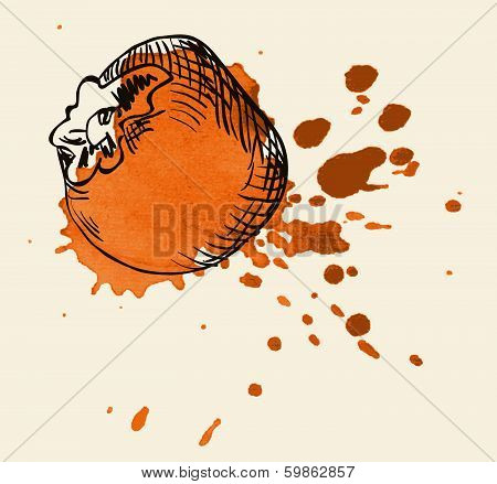 hand drawn vintage illustration of persimmon