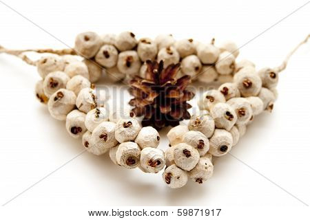 Berry branches with pine plug
