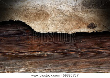 Poplar Piece Of Wood