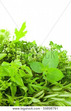 Border of Different  Fresh Spice Herbs  over white background / Basil, Chive, Majoram, Oregano, Parsley, Thyme, Rucola and Rosemary / vertical composition